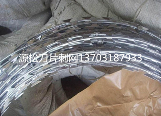 刀片刺繩防護(hù)網(wǎng)