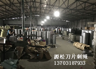 刀片刺繩防護(hù)網(wǎng)