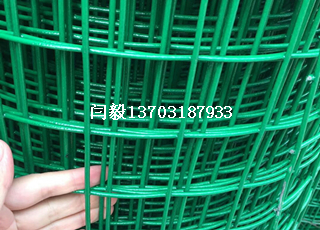 攔雞包膠綠色鐵絲網