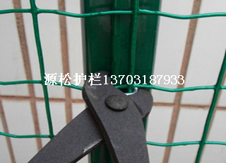 攔雞包膠綠色鐵絲網