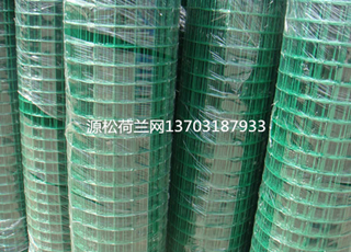 綠色鐵絲網(wǎng)