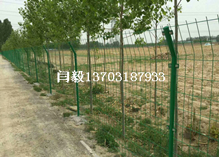 圈地綠色鐵絲網圍欄2